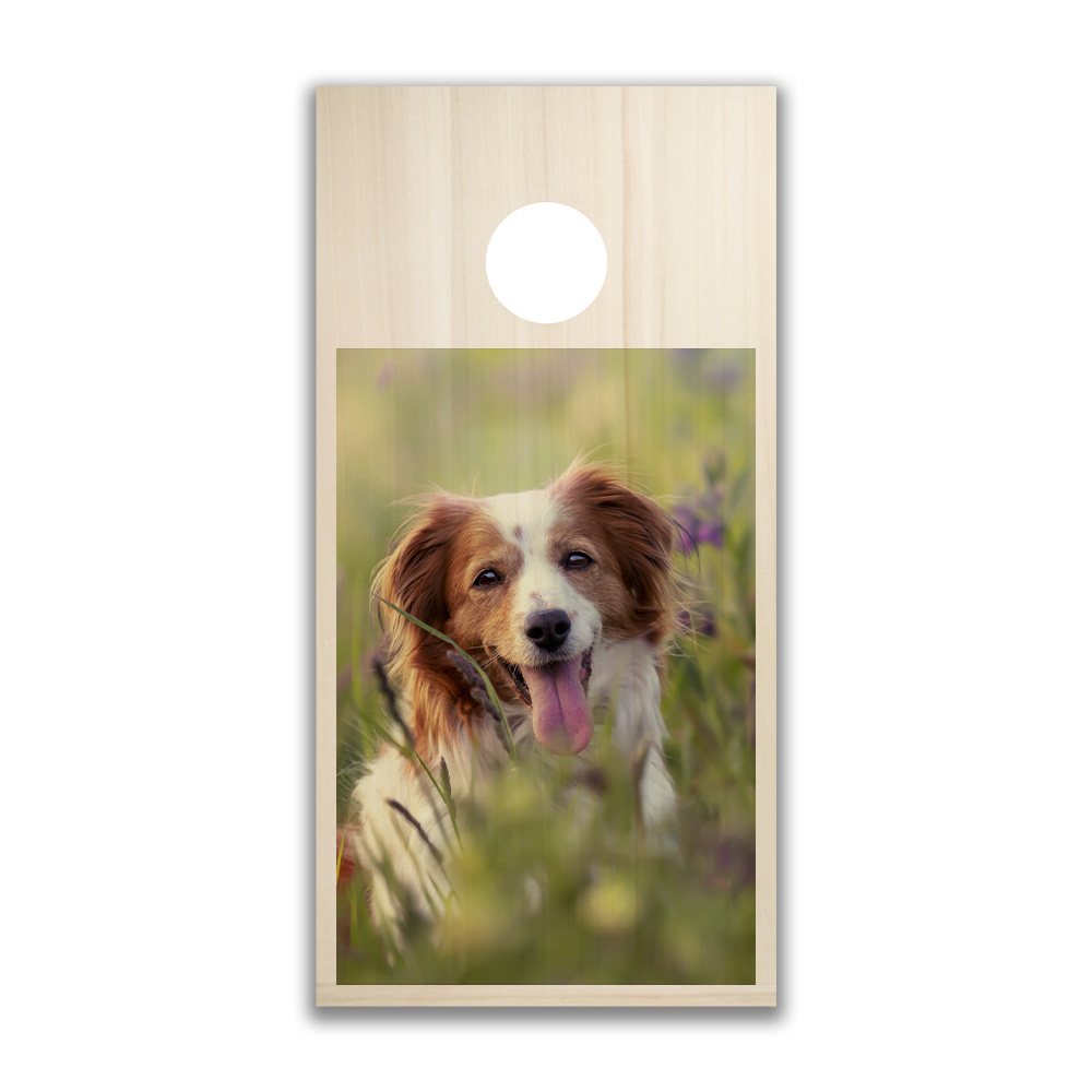 CORNHOLE - Personnalisable