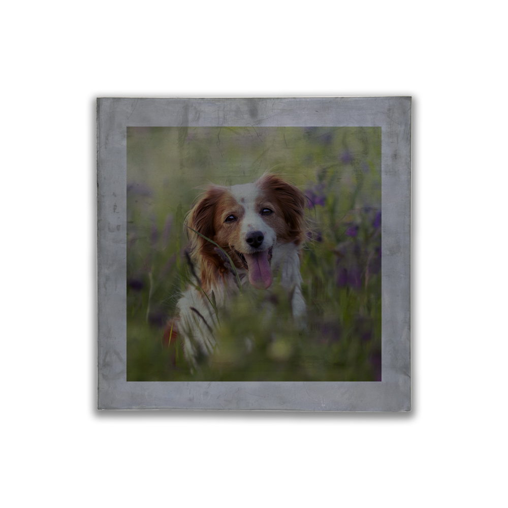 Plaque plomb 400 x 400 x 7 mm personnalisée