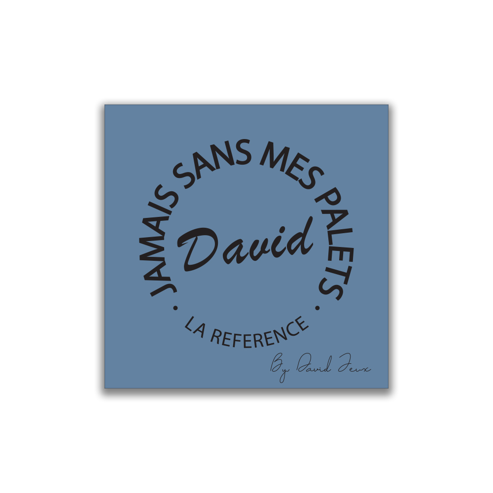 La chiffonnette bleue DAVID Jeux - Jamais sans mes Palets DAVID  -