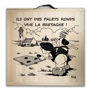 Kit de jeu de palets breton - Ils ont des palets ronds ...