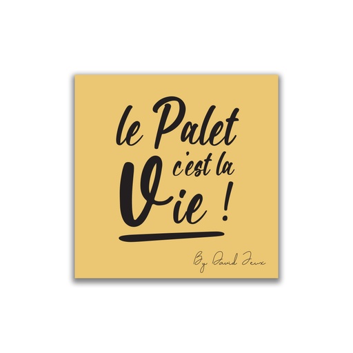 [4572] La chiffonnette jaune DAVID Jeux - Le Palet c'est la Vie -