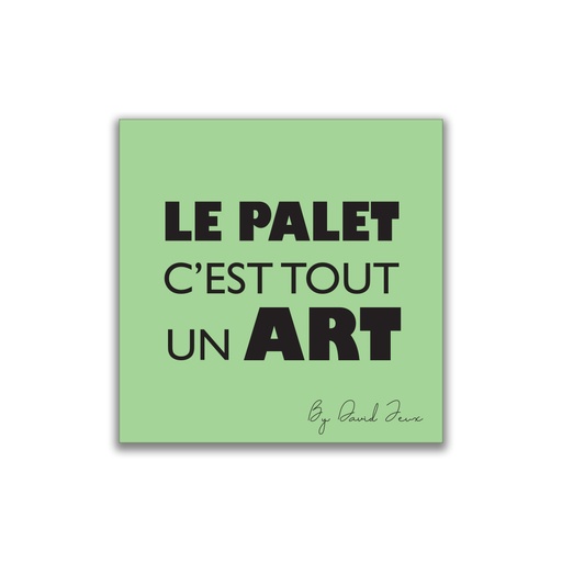 [4596] La chiffonnette verte DAVID Jeux - Le Palet c'est tout un Art  -
