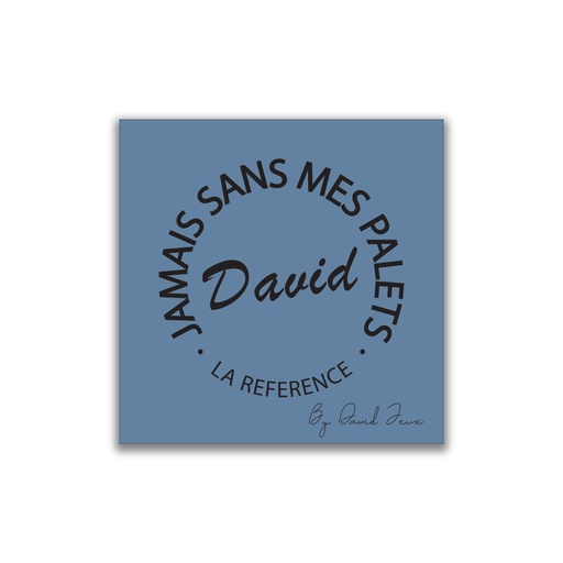 [4602] La chiffonnette bleue DAVID Jeux - Jamais sans mes Palets DAVID  -